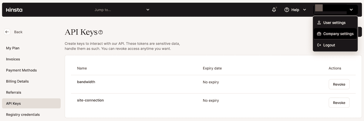 La schermata di gestione delle chiavi API nella dashboard di MyKinsta. La schermata ha uno sfondo bianco con testo nero, una barra laterale a sinistra e una barra degli strumenti nera. Una tabella elenca due chiavi API denominate 