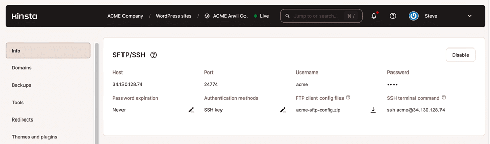 Captura de pantalla que muestra el panel SFTP/SSH en la página Información del sitio MyKinsta.