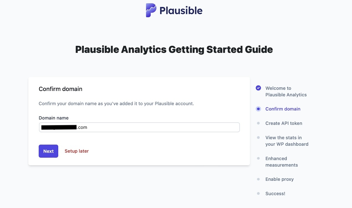 Confirm your domain name in the Plausible Analytics setup process.