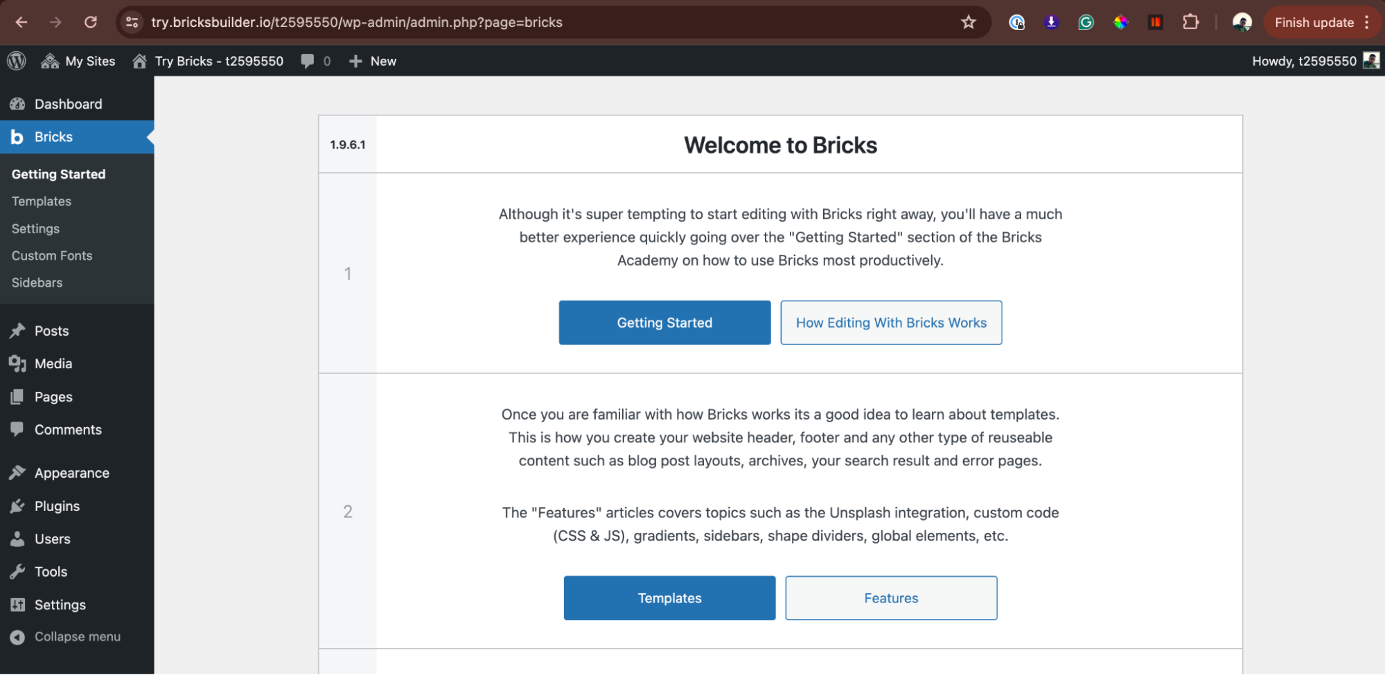 Il benvenuto nell'interfaccia del cruscotto di WordPress di Bricks