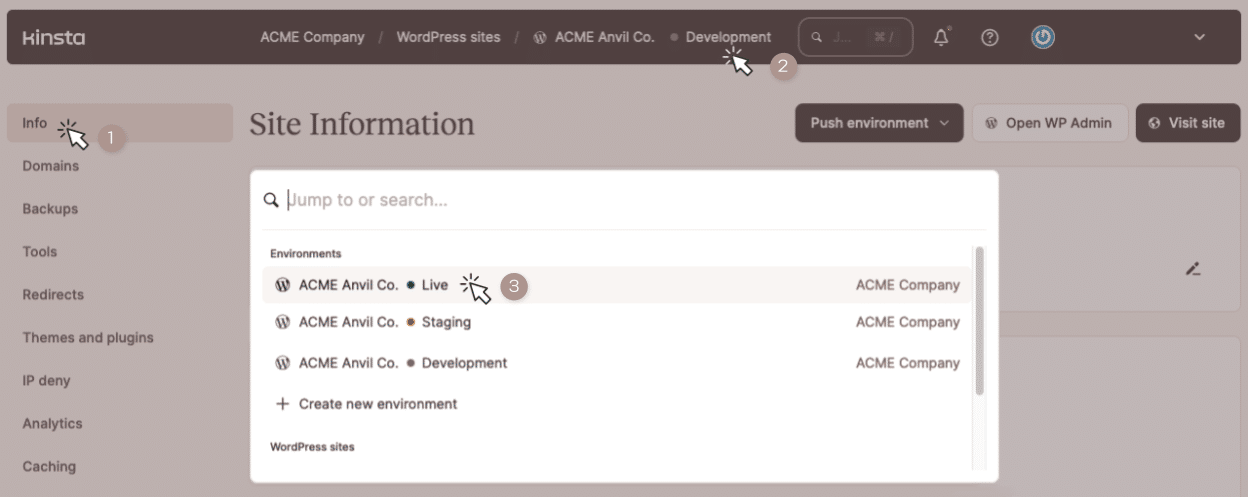 Schermata che mostra la selezione degli ambienti del sito web in MyKinsta.