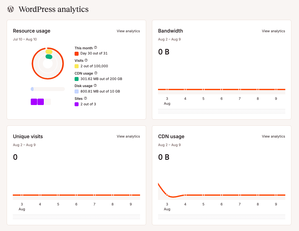 Analítica personalizada de WordPress en MyKinsta.