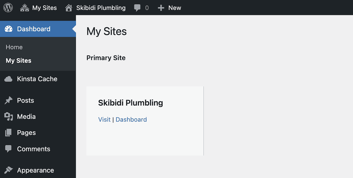 Een WordPress multisite dashboard met “Skibidi Plumbing” als primaire site. Het linker navigatiemenu bevat opties voor Dashboard, Home, Mijn sites, Kinsta Cache, Berichten, Media, Pagina's, Reacties en Uiterlijk. Het hoofdgedeelte van de content toont Mijn websites als de huidige paginatitel, met links om het dashboard van de site Skibidi Plumbing te bezoeken of te openen.