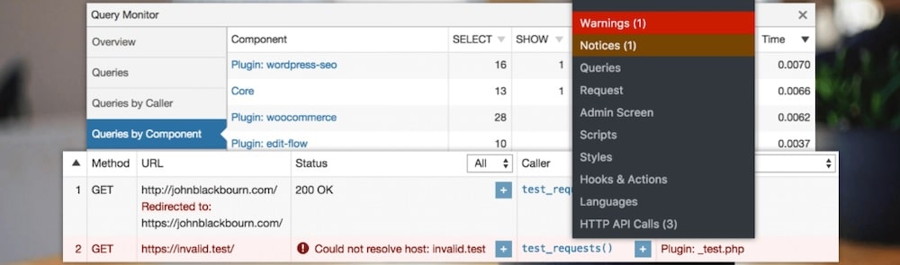 Plugin Query Monitor.