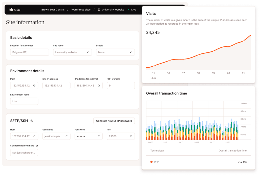 MyKinsta dashboard