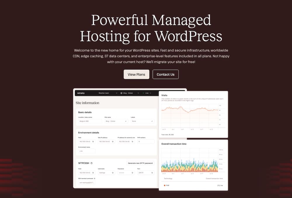 Kinsta hosting