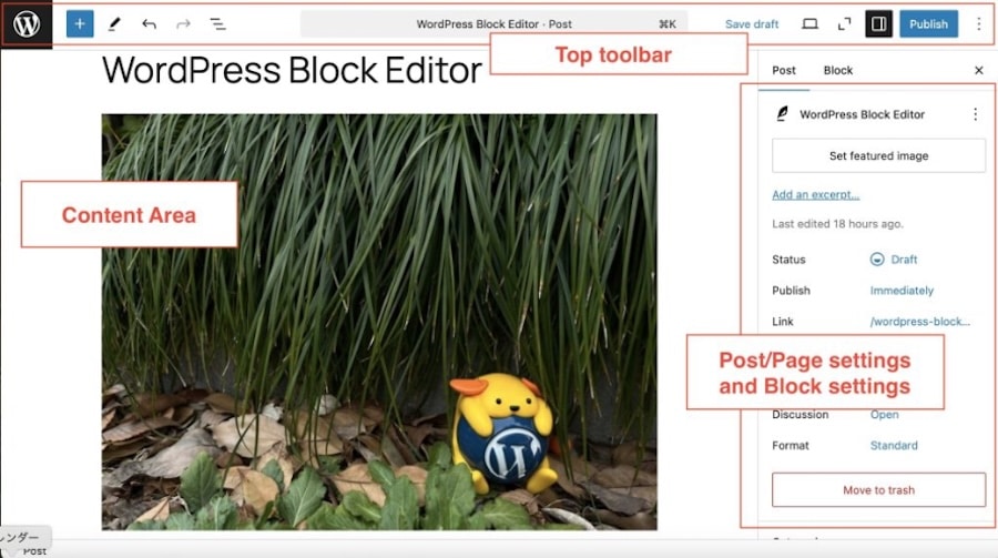 Block Editor