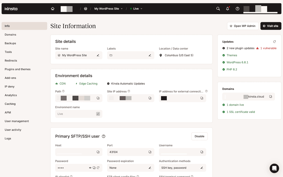 The MyKinsta dashboard showing information for a single site.