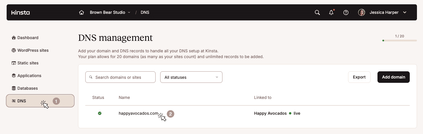 Accessing DNS management section in the MyKinsta dashboard.