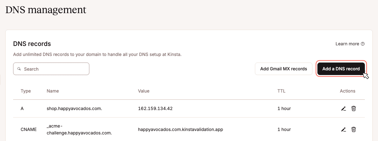 DNS records overview in MyKinsta showing existing entries.