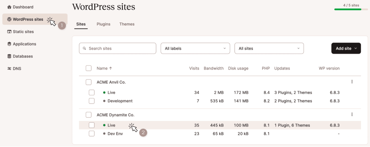 Screenshot showing the selection of a site's environment on the MyKinsta WordPress Sites page.