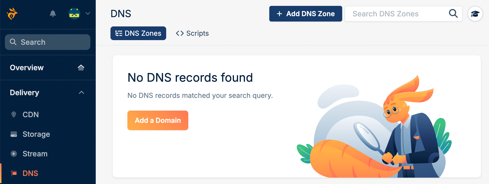 Add a domain in Bunny.