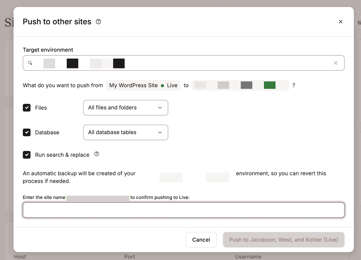 The MyKinsta dashboard showing the Push to other sites panel. It contains fields for a target environment and check boxes to select to push Files, the Database, and a Run search and replace.
