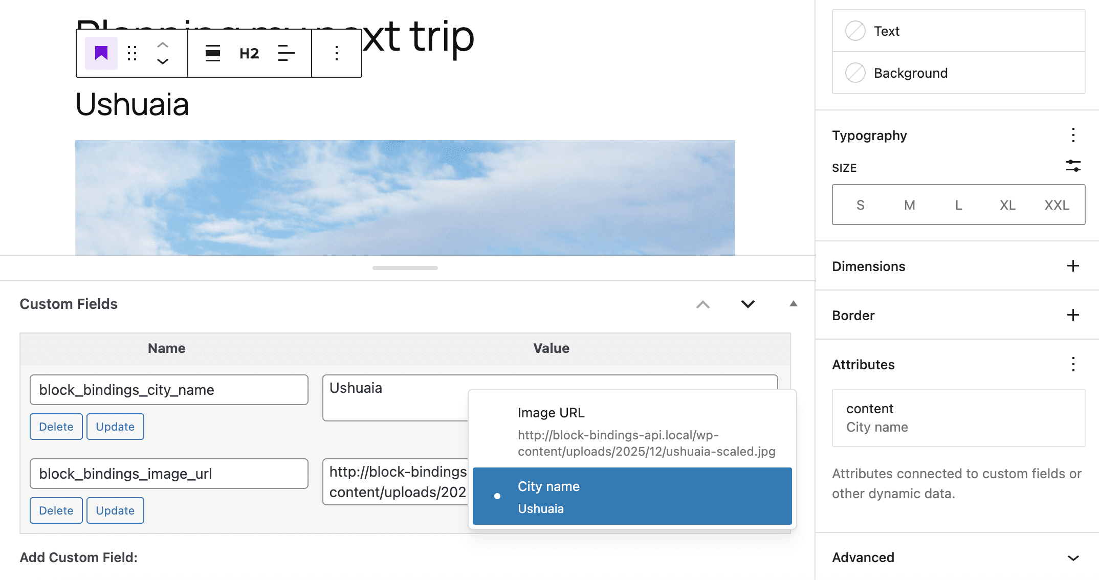 A screenshot showing custom field labels in the Block Bindings UI
