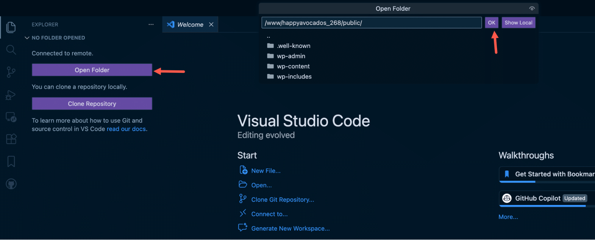 Accessing remote server files over an SSH connection.