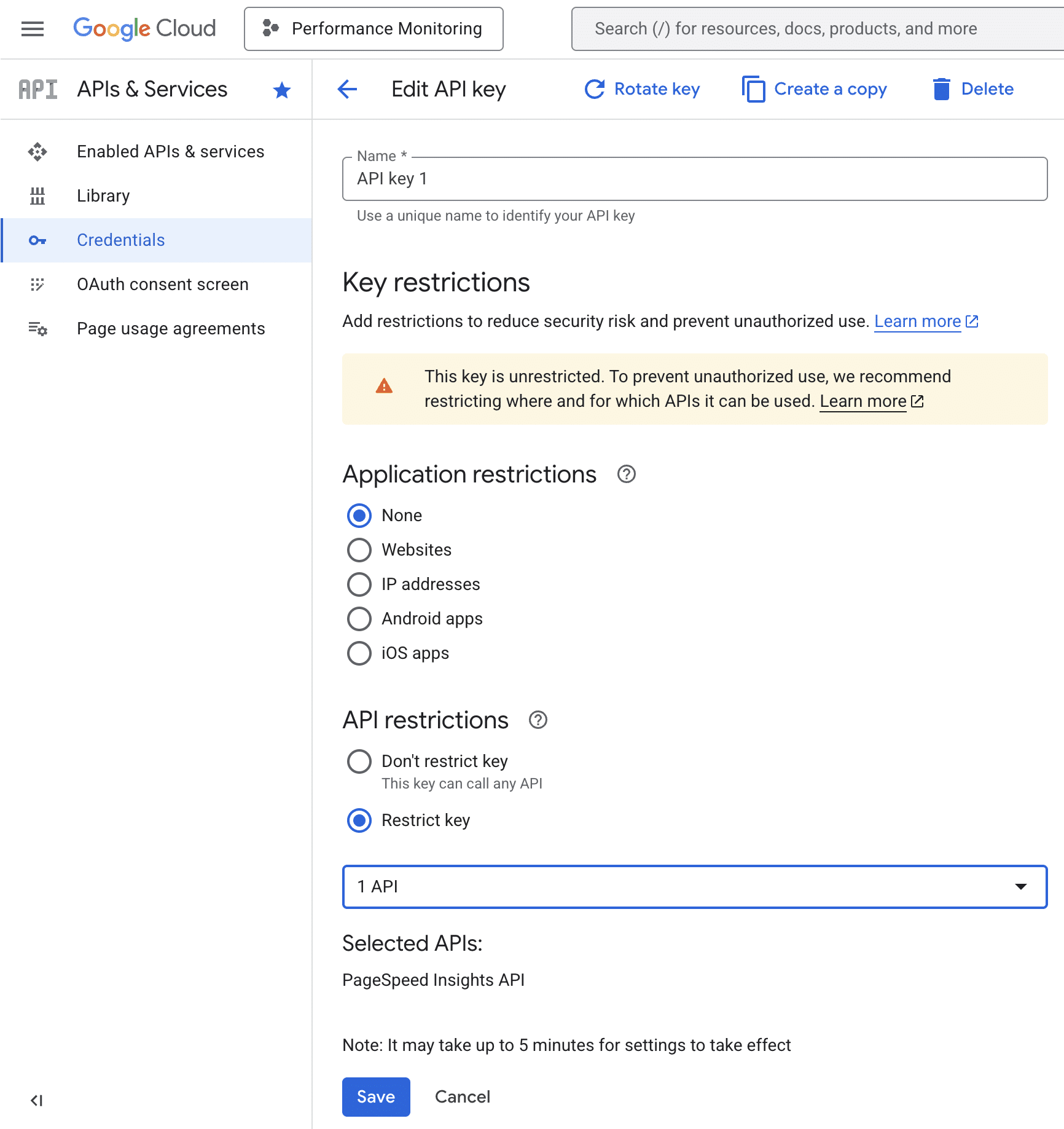 Set restrictions to PageSpeed Insights API