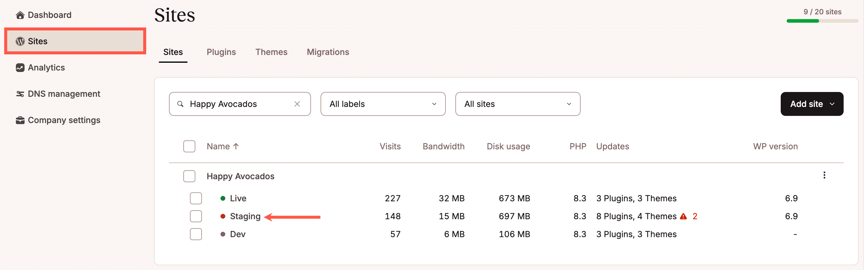 Kinsta WordPress staging environment