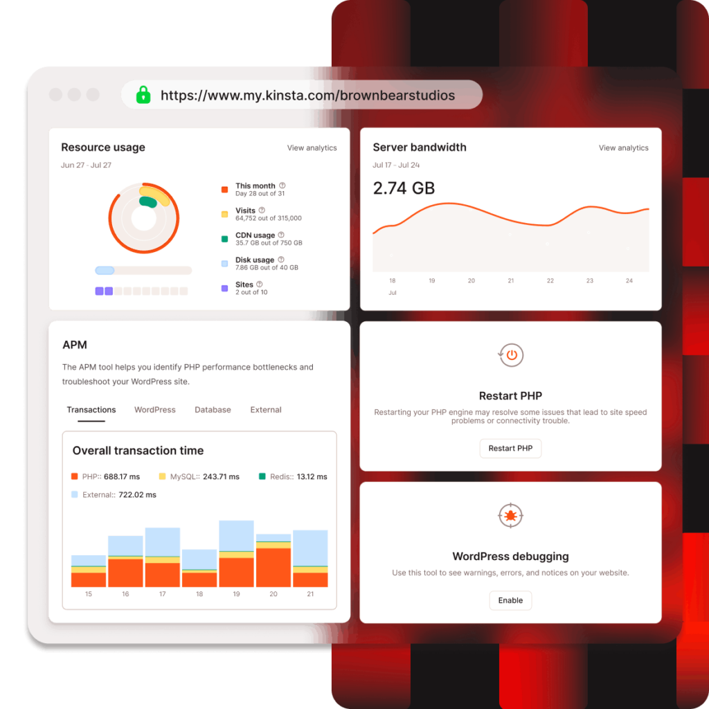 MyKinsta dashboard management tools