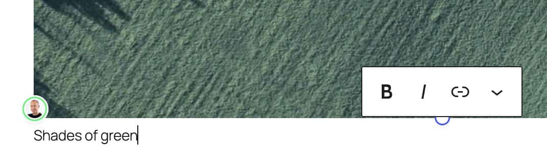 Another user is editing an Image block.