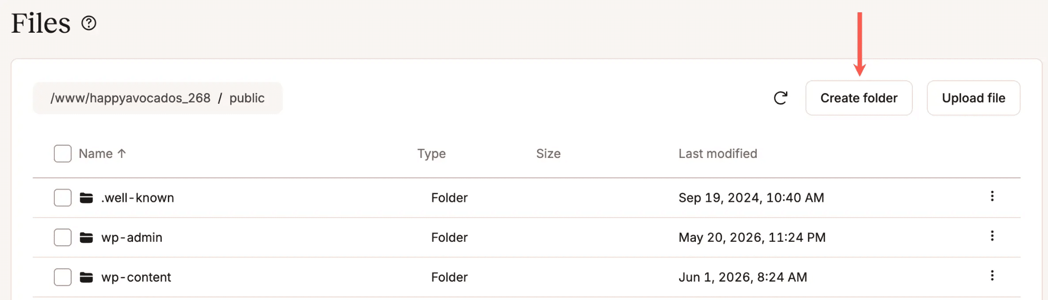 Create folder in MyKinsta file manager.