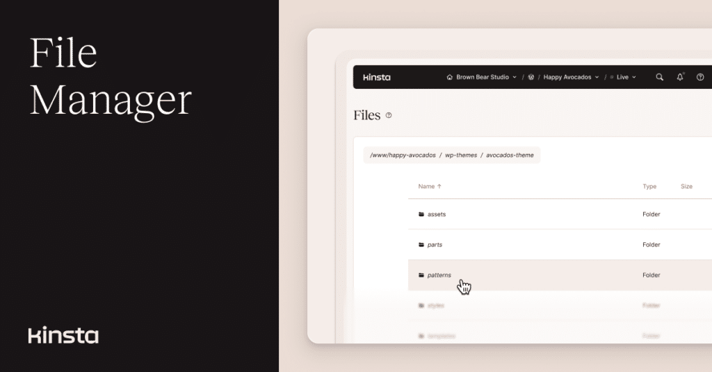 An illustration representing the new file manager within the MyKinsta dashboard.