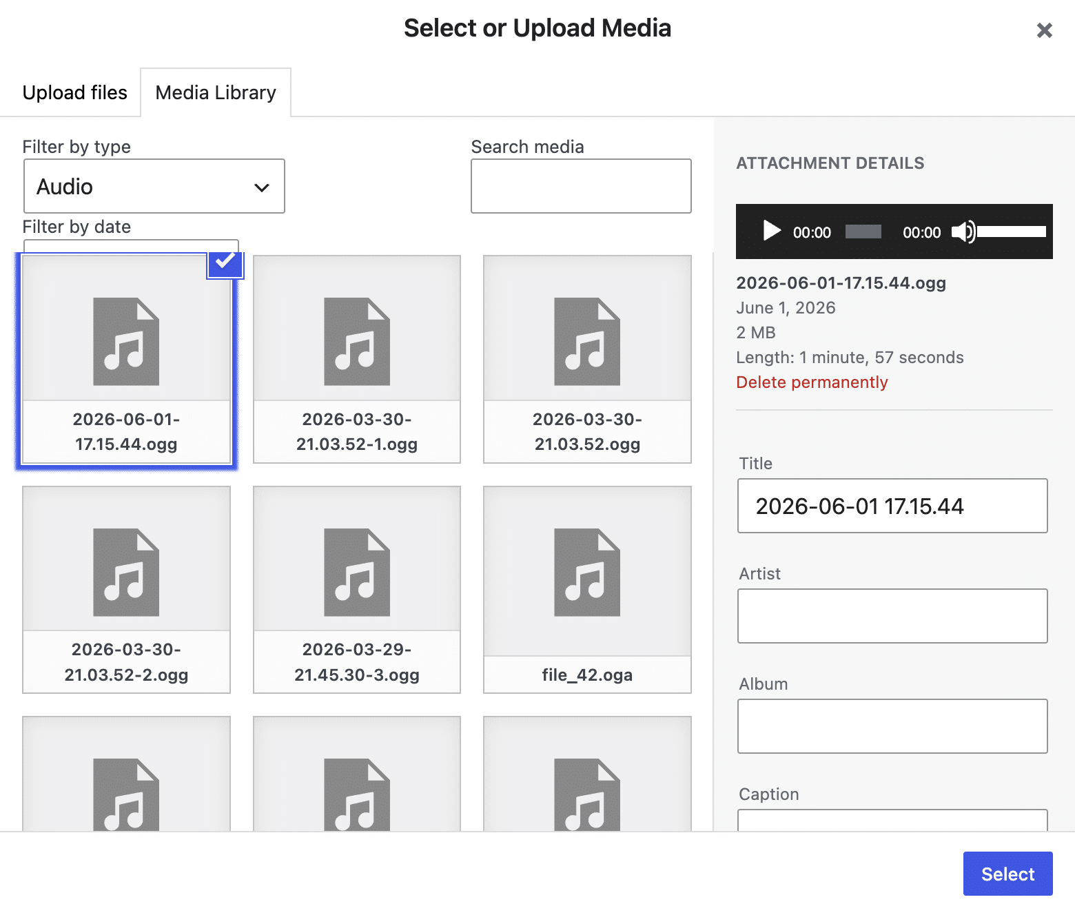 The WordPress media library