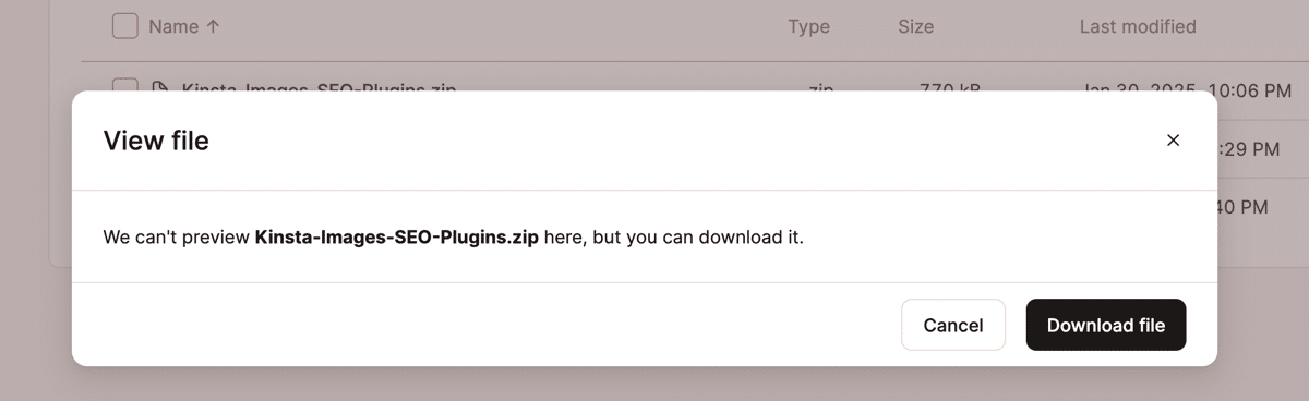 A screenshot showing the prompt to download a binary file in MyKinsta's file manaager.