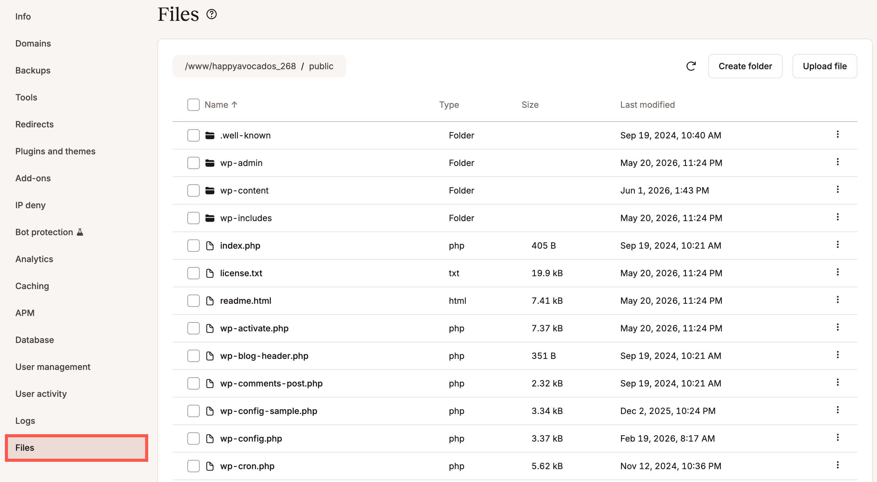 A screenshot of the MyKinsta dashboard with the Files option highlighted.