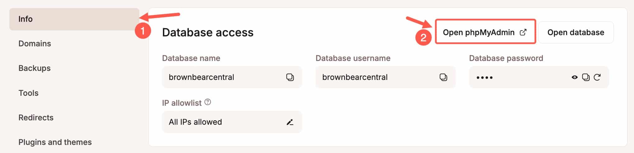 The Info tab in the MyKinsta dashboard