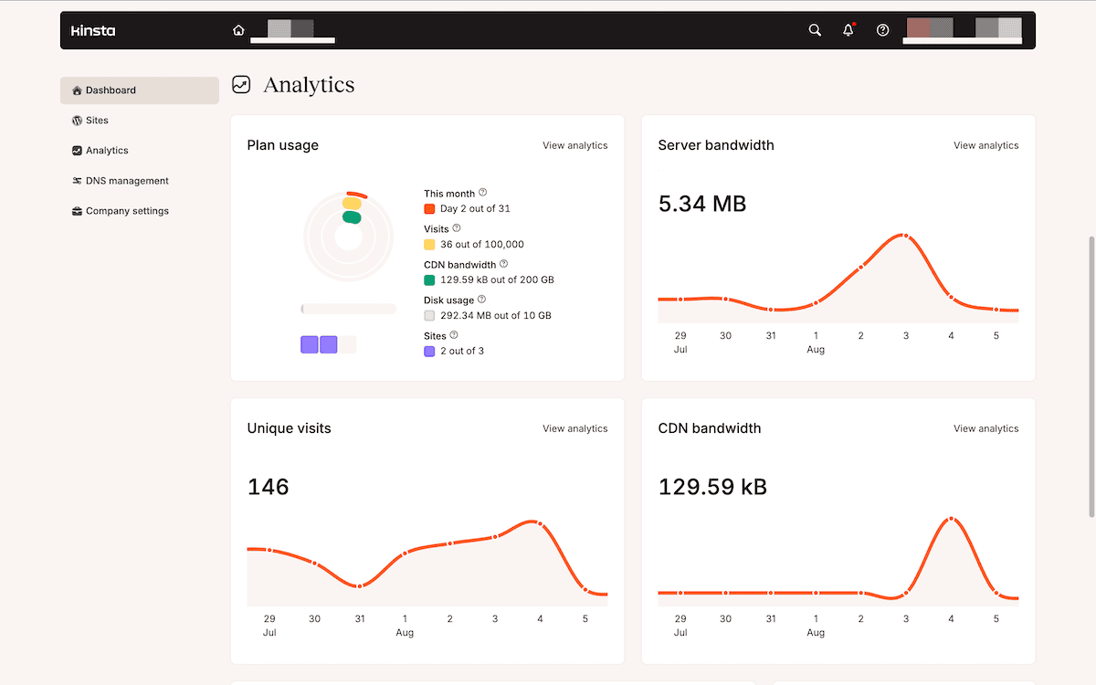 The Plan usage chart on the MyKinsta Dashboard showing visit, storage, and both server and CDN bandwidth usage against plan limits.