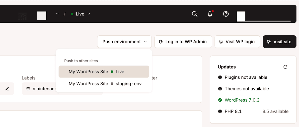 The selective push interface in MyKinsta showing options to push to another environment alongside other information about a WordPress website.