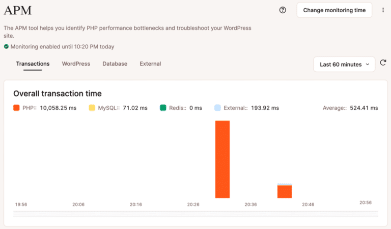 Kinsta APM