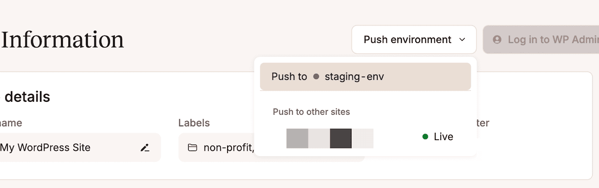 The MyKinsta Selective Push drop-down menu, showing an option to push an environment to staging.