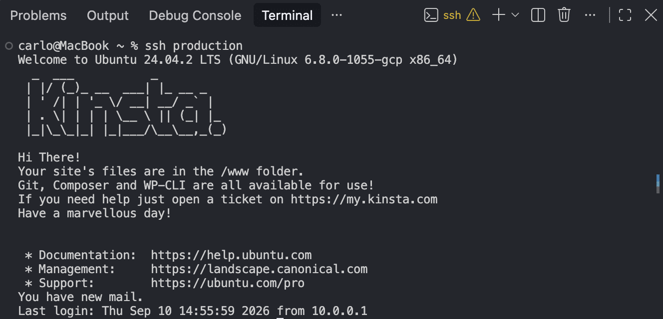 Accessing th Kinsta environment via SSH.