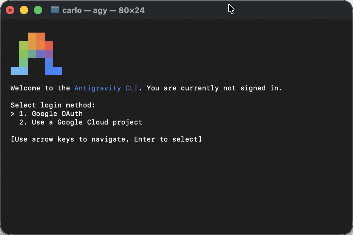 Select Antigravity CLI login method.