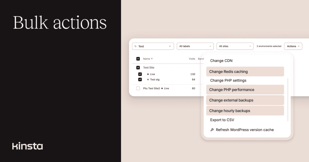 An illustration representing the bulk actions menu in MyKinsta.